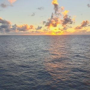 Meet your Posher, Tanya